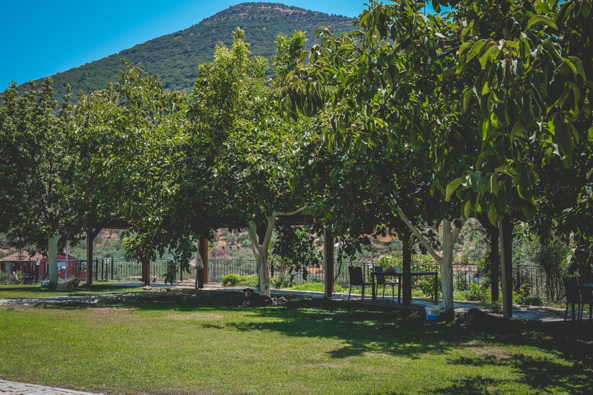 Natureland Efes Pension Selçuk Extérieur photo