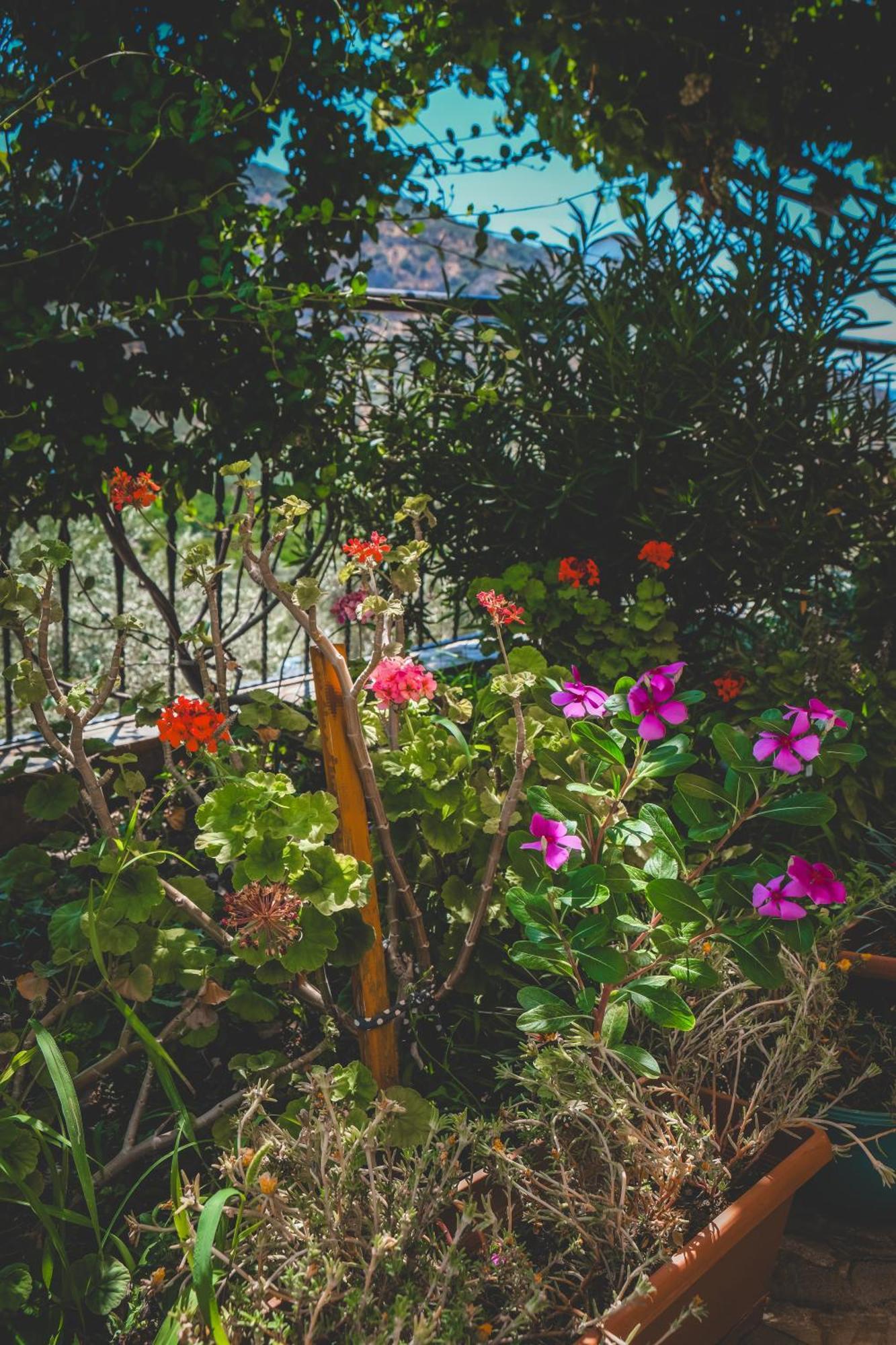 Natureland Efes Pension Selçuk Extérieur photo