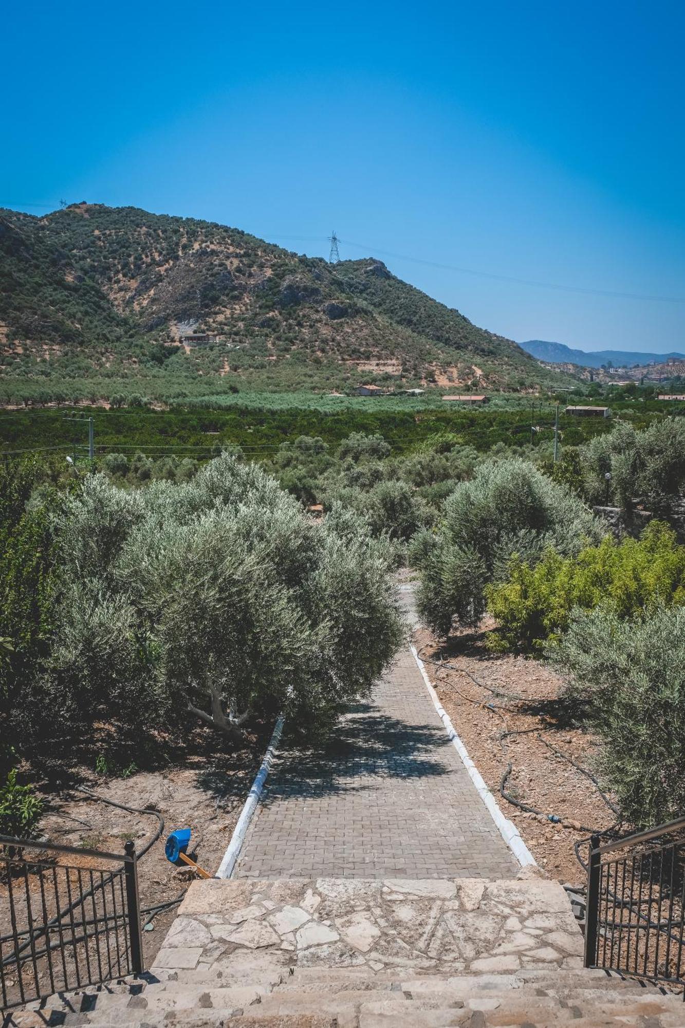 Natureland Efes Pension Selçuk Extérieur photo